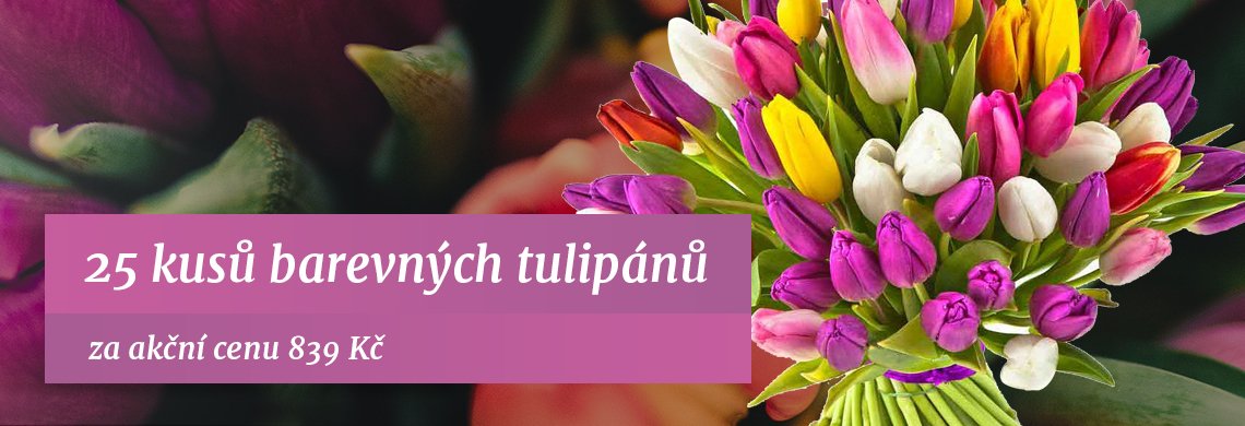 Akční tulipány | Kytičky od Janičky Ořech